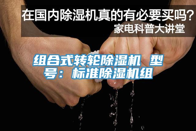 組合式轉輪榴莲视频官网APP 型號：標準榴莲视频官网APP組