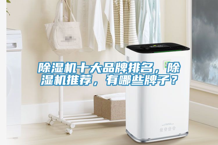 榴莲视频官网APP十大品牌排名，榴莲视频官网APP推薦，有哪些牌子？