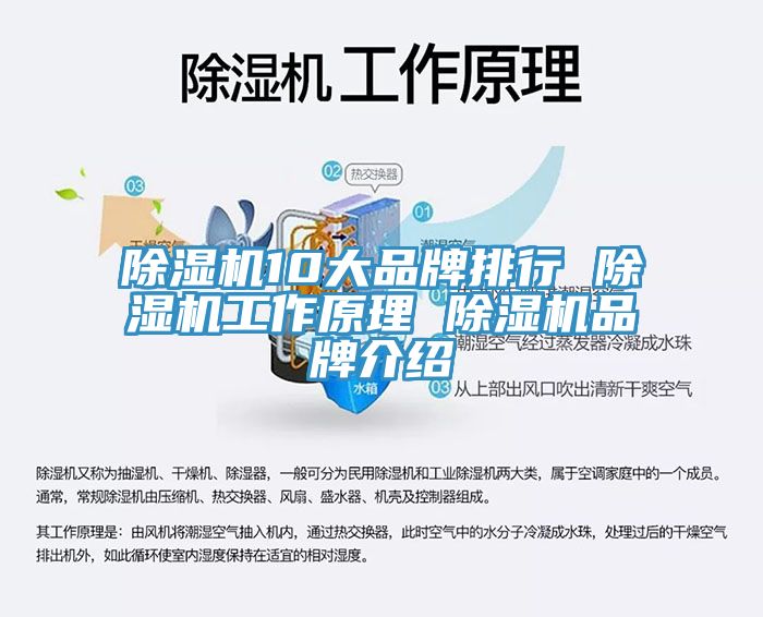 榴莲视频官网APP10大品牌排行 榴莲视频官网APP工作原理 榴莲视频官网APP品牌介紹