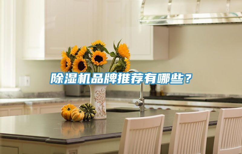 榴莲视频官网APP品牌推薦有哪些？