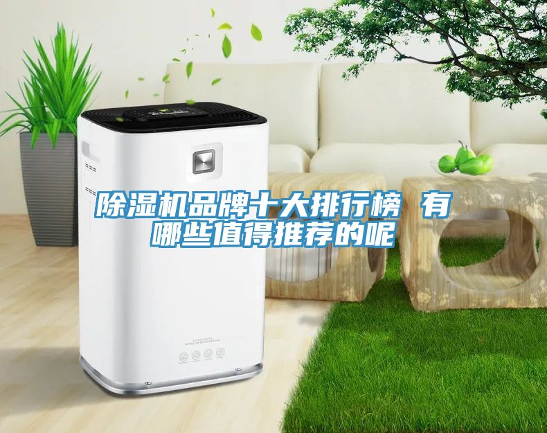 榴莲视频官网APP品牌十大排行榜 有哪些值得推薦的呢