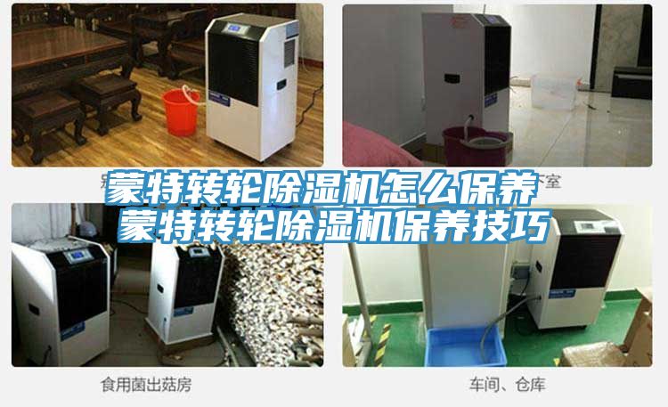 蒙特轉輪榴莲视频官网APP怎麽保養 蒙特轉輪榴莲视频官网APP保養技巧