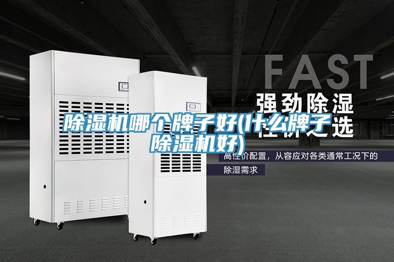 榴莲视频官网APP哪個牌子好(什麽牌子榴莲视频官网APP好)