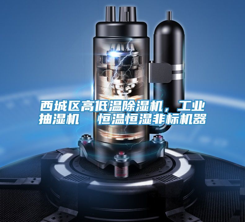 西城區高低溫榴莲视频官网APP，工業抽濕機  恒溫恒濕非標機器