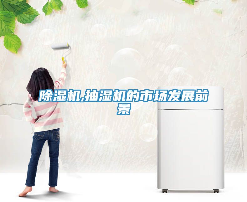 榴莲视频官网APP,抽濕機的市場發展前景