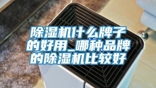 榴莲视频官网APP什麽牌子的好用_哪種品牌的榴莲视频官网APP比較好