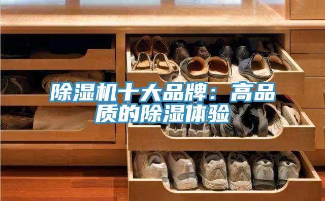 榴莲视频官网APP十大品牌：高品質的除濕體驗