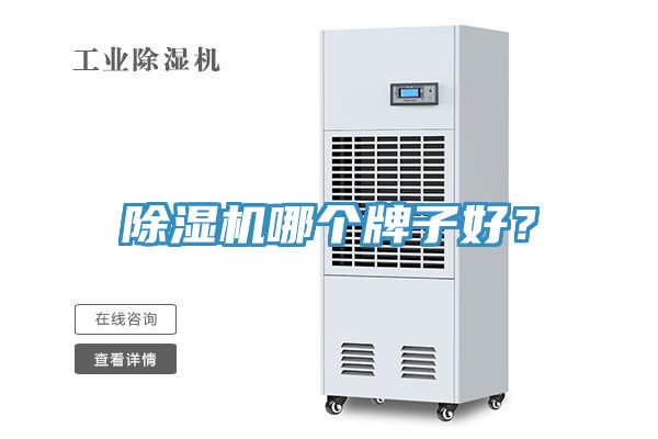榴莲视频官网APP哪個牌子好？