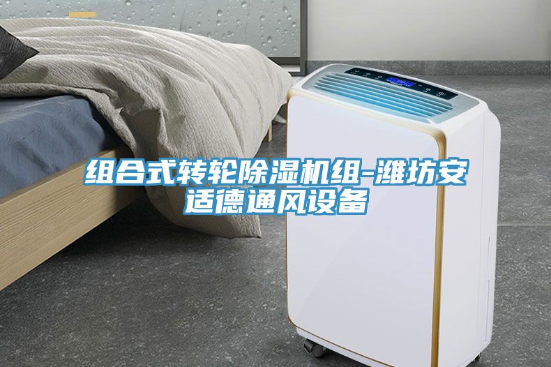 組合式轉輪榴莲视频官网APP組-濰坊安適德通風設備