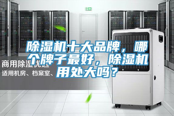 榴莲视频官网APP十大品牌，哪個牌子最好，榴莲视频官网APP用處大嗎？