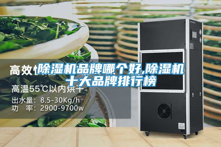 榴莲视频官网APP品牌哪個好,榴莲视频官网APP十大品牌排行榜