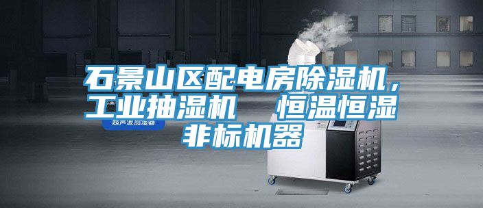 石景山區配電房榴莲视频官网APP，工業抽濕機  恒溫恒濕非標機器