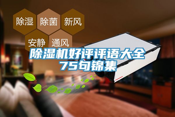 榴莲视频官网APP好評評語大全75句錦集