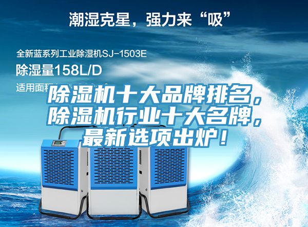 榴莲视频官网APP十大品牌排名，榴莲视频官网APP行業十大名牌，最新選項出爐！