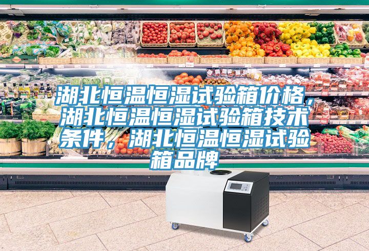 湖北恒溫恒濕試驗箱價格，湖北恒溫恒濕試驗箱技術條件，湖北恒溫恒濕試驗箱品牌