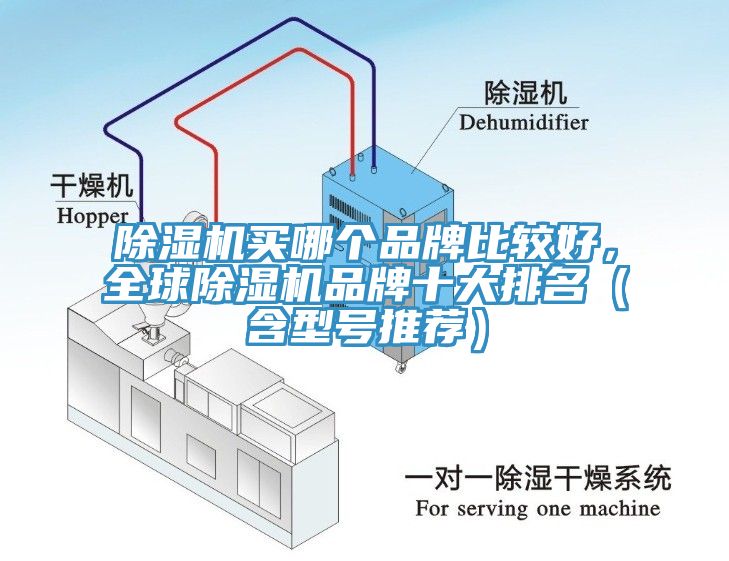 榴莲视频官网APP買哪個品牌比較好，全球榴莲视频官网APP品牌十大排名（含型號推薦）