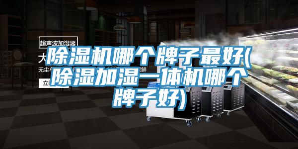 榴莲视频官网APP哪個牌子最好(除濕加濕一體機哪個牌子好)