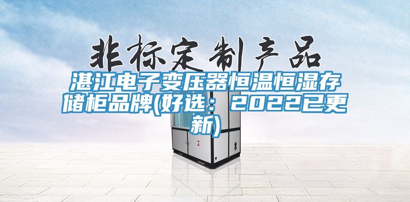 湛江電子變壓器恒溫恒濕存儲櫃品牌(好選：2022已更新)