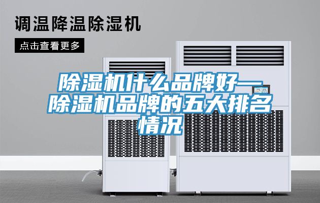 榴莲视频官网APP什麽品牌好—榴莲视频官网APP品牌的五大排名情況