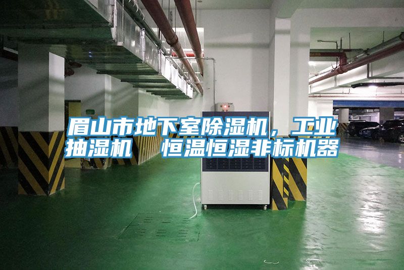 眉山市地下室榴莲视频官网APP，工業抽濕機  恒溫恒濕非標機器