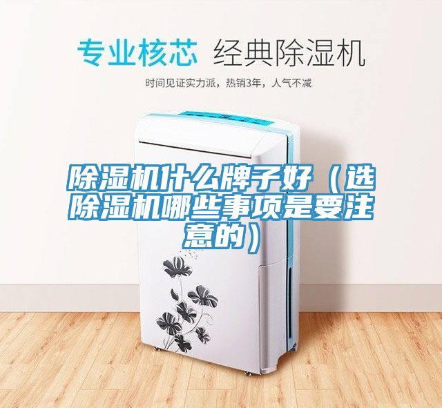 榴莲视频官网APP什麽牌子好（選榴莲视频官网APP哪些事項是要注意的）