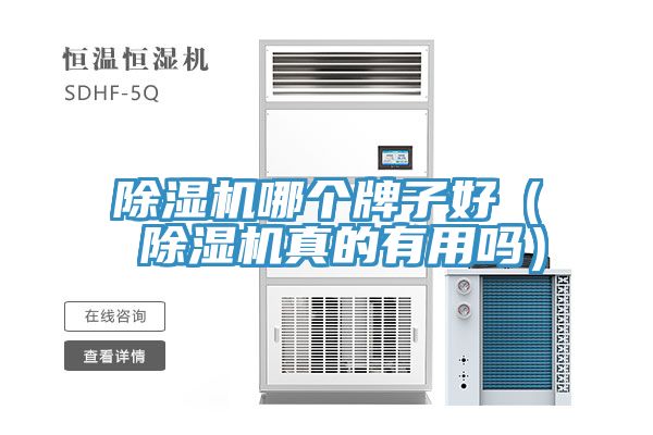 榴莲视频官网APP哪個牌子好（ 榴莲视频官网APP真的有用嗎）