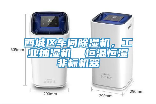 西城區車間榴莲视频官网APP，工業抽濕機  恒溫恒濕非標機器