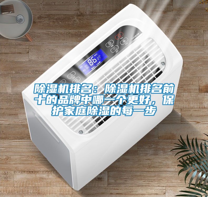 榴莲视频官网APP排名：榴莲视频官网APP排名前十的品牌中哪一個更好，保護家庭除濕的每一步
