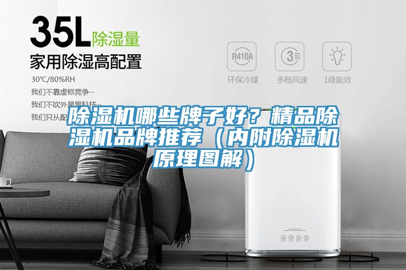 榴莲视频官网APP哪些牌子好？精品榴莲视频官网APP品牌推薦（內附榴莲视频官网APP原理圖解）