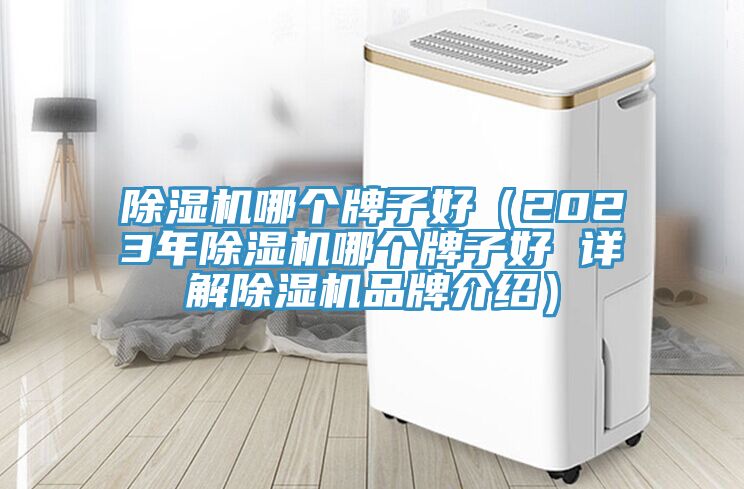 榴莲视频官网APP哪個牌子好（2023年榴莲视频官网APP哪個牌子好 詳解榴莲视频官网APP品牌介紹）