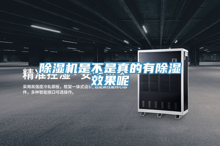 榴莲视频官网APP是不是真的有除濕效果呢
