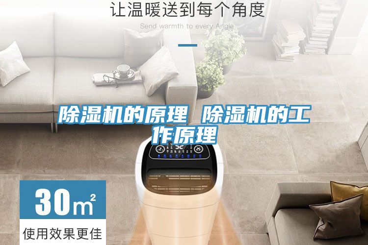 榴莲视频官网APP的原理 榴莲视频官网APP的工作原理