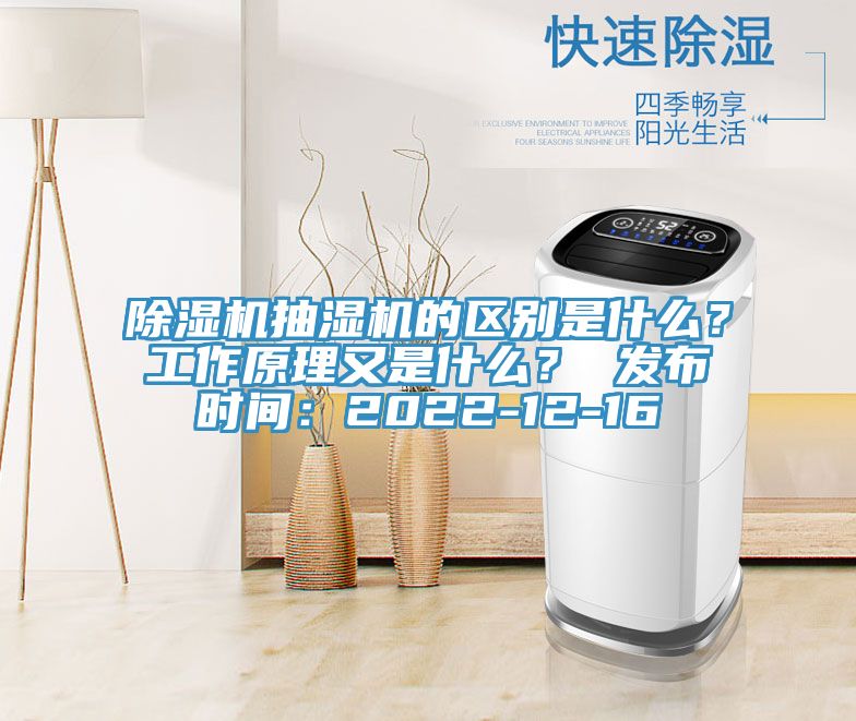 榴莲视频官网APP抽濕機的區別是什麽？工作原理又是什麽？ 發布時間：2022-12-16