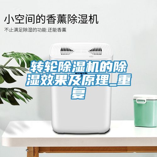 轉輪榴莲视频官网APP的除濕效果及原理_重複