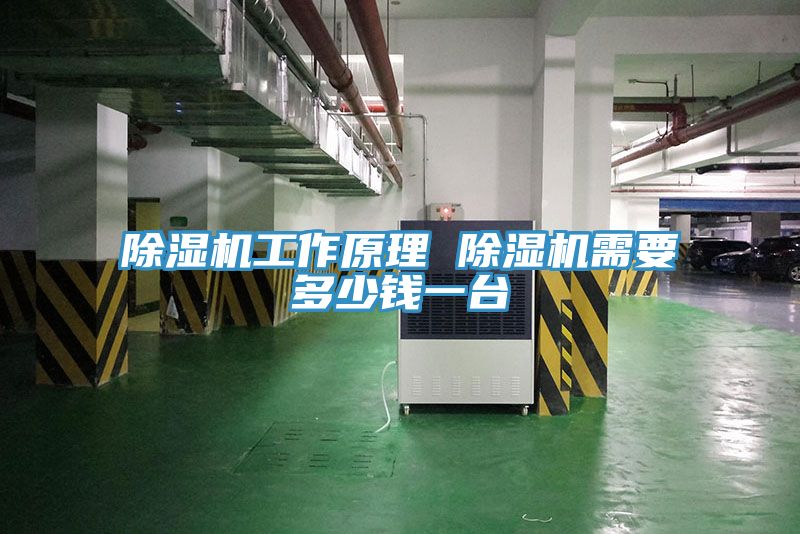 榴莲视频官网APP工作原理 榴莲视频官网APP需要多少錢一台