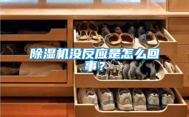 榴莲视频官网APP沒反應是怎麽回事？