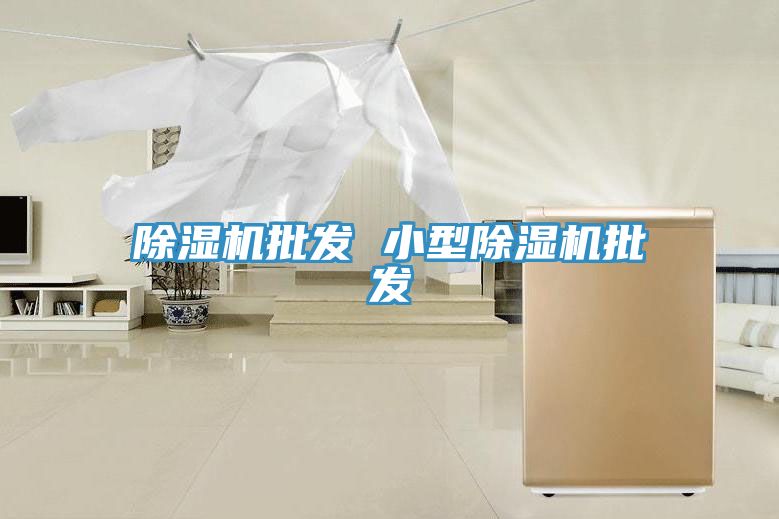 榴莲视频官网APP批發 小型榴莲视频官网APP批發