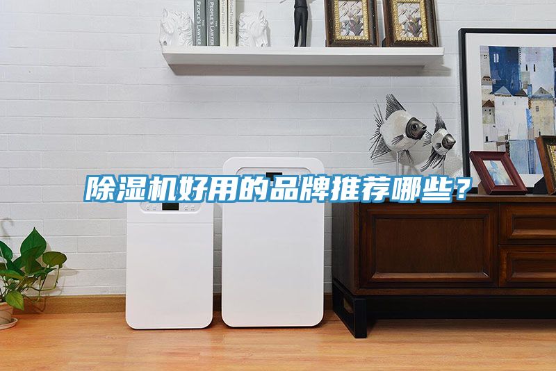 榴莲视频官网APP好用的品牌推薦哪些？