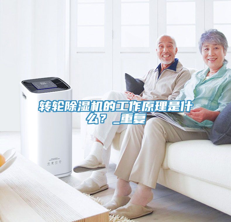 轉輪榴莲视频官网APP的工作原理是什麽？_重複