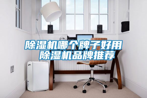 榴莲视频官网APP哪個牌子好用 榴莲视频官网APP品牌推薦