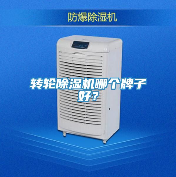 轉輪榴莲视频官网APP哪個牌子好？