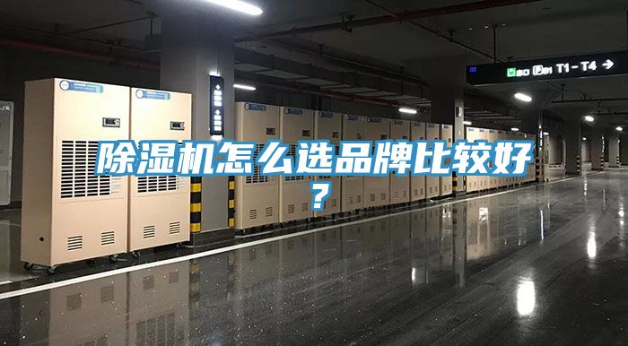 榴莲视频官网APP怎麽選品牌比較好？