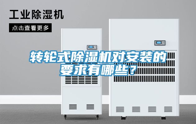 轉輪式榴莲视频官网APP對安裝的要求有哪些？