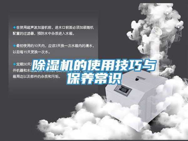 榴莲视频官网APP的使用技巧與保養常識