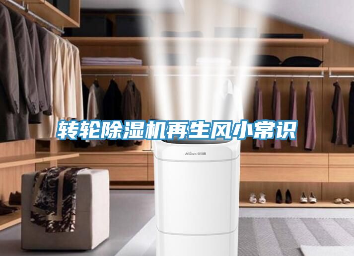 轉輪榴莲视频官网APP再生風小常識