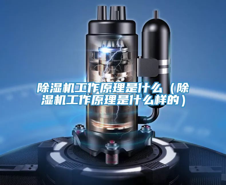 榴莲视频官网APP工作原理是什麽（榴莲视频官网APP工作原理是什麽樣的）