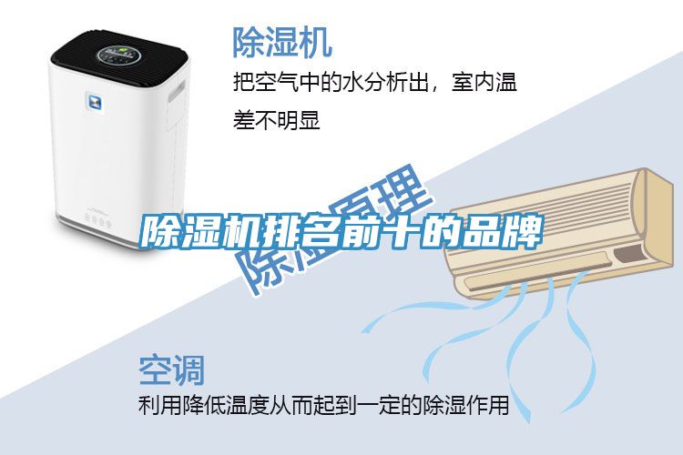 榴莲视频官网APP排名前十的品牌