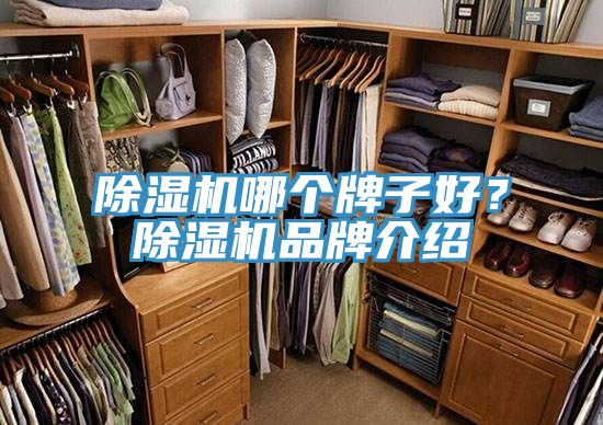 榴莲视频官网APP哪個牌子好？榴莲视频官网APP品牌介紹