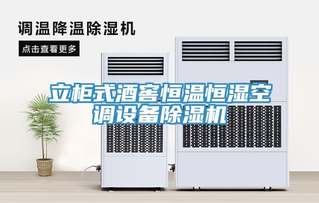 立櫃式酒窖恒溫恒濕空調設備榴莲视频官网APP