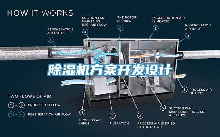榴莲视频官网APP方案開發設計